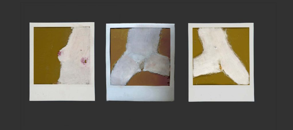 andrew litten polaroid